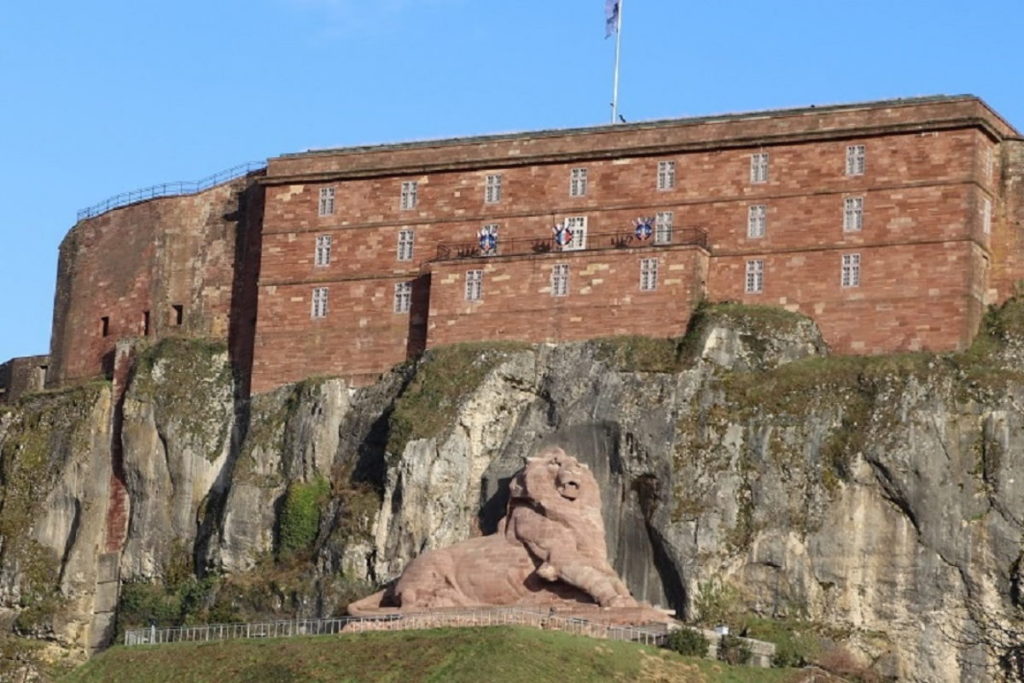 lion belfort lion Belfort
