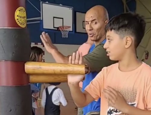 Steeve Pascual, coach en arts martiaux et coaching sportif