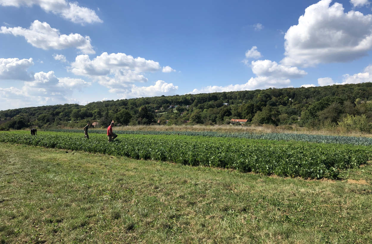 Chantier d'insertion professionnel - Montvaudois Héricourt