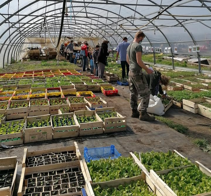 La vente de plants aux jardins du mont vaudois