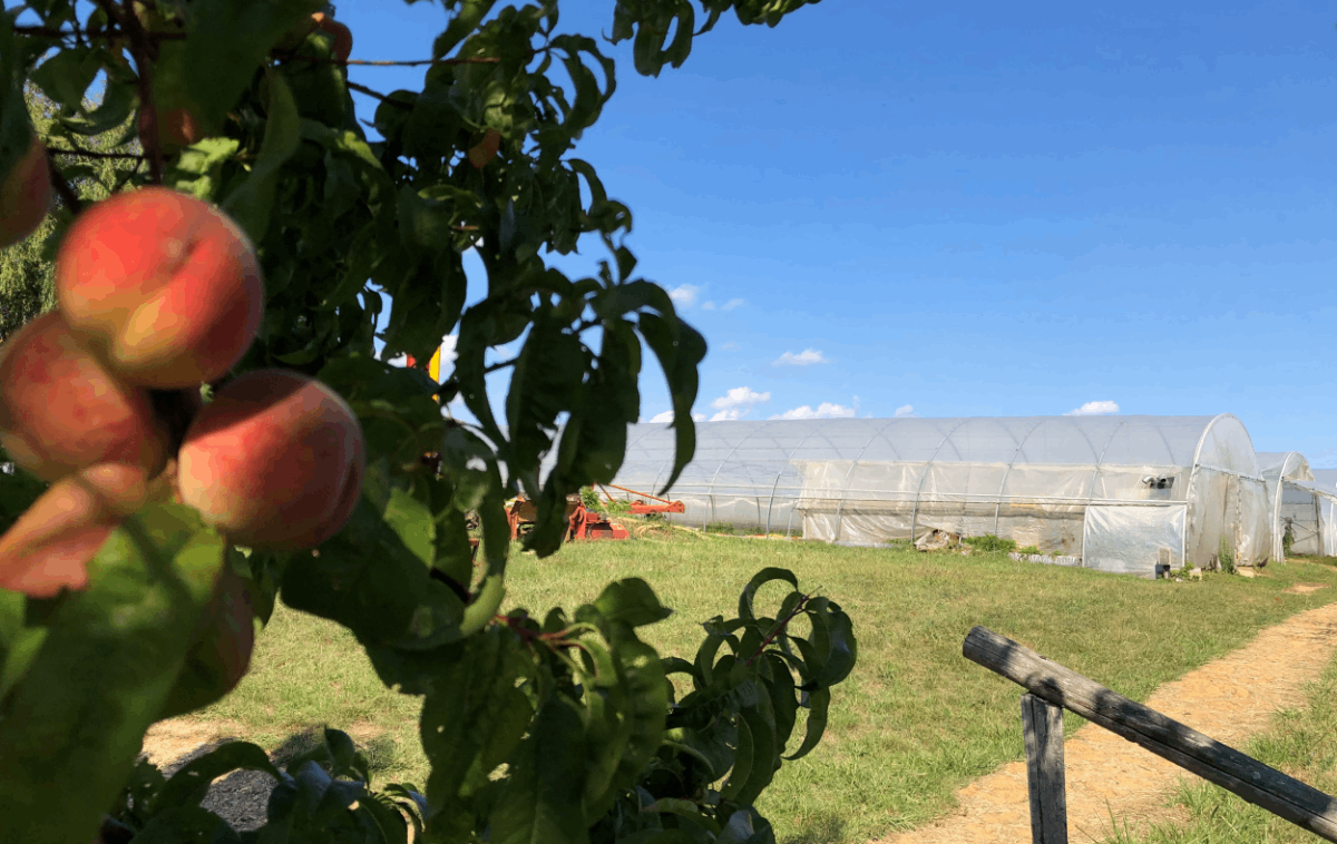 les jardins du Mont Vaudois à Héricourt