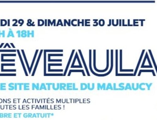 Rêveaulac : Deux Journées d’Activités pour Tous à la Base de Loisirs du Malsaucy